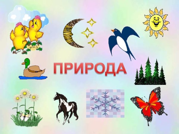 Живая природа для детей дошкольного возраста