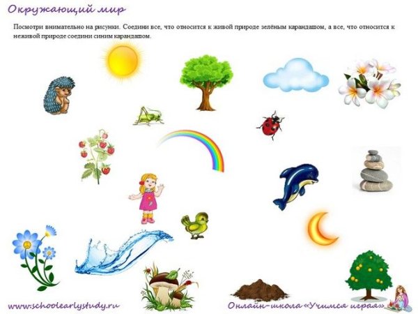 Живая и неживая природа для дошкольников