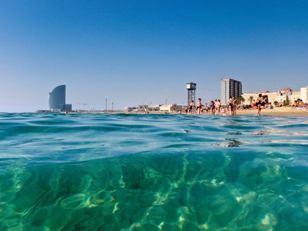 Барселонета в Барселоне