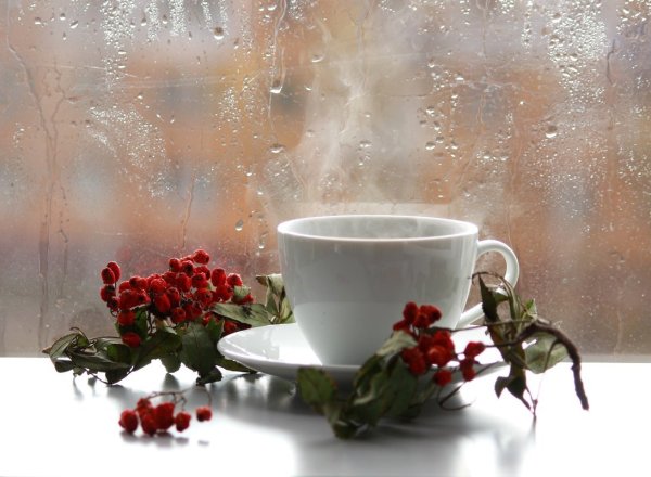 Доброе утро зима