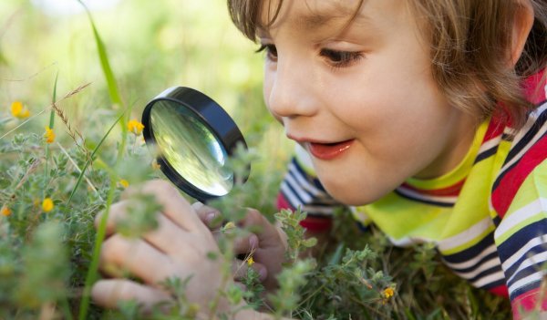 Изучение природы