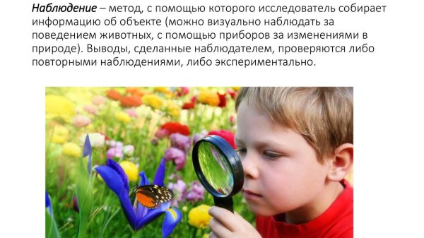 Методы изучения природы
