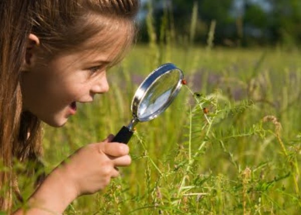 Изучение природы