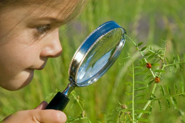 Изучение природы