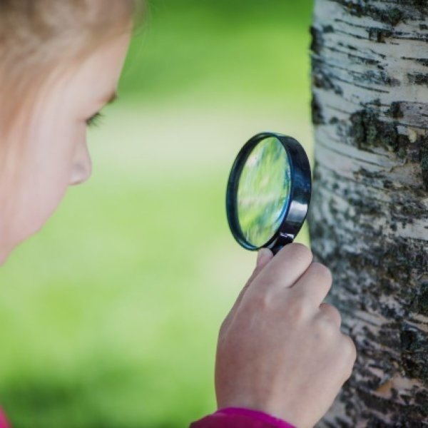 Наблюдение лупа