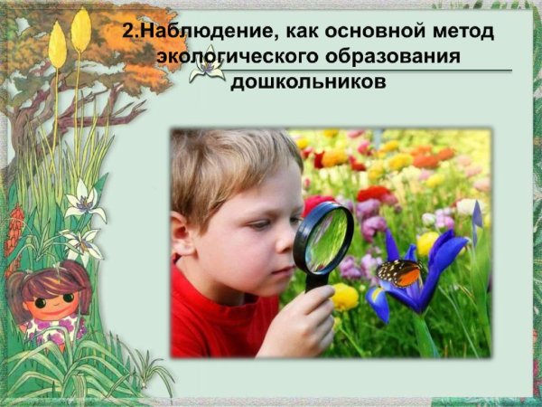 Наблюдение в экологическом образовании дошкольников