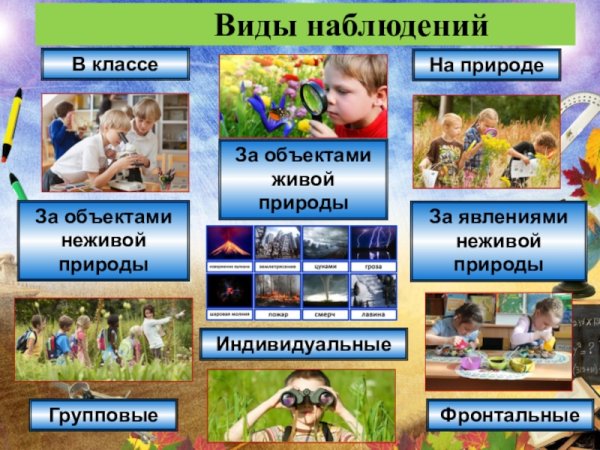 Наблюдение за объектами живой природы