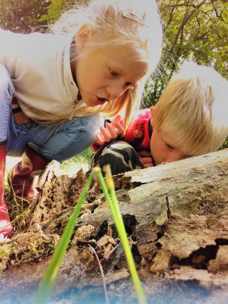 Наблюдение в природе
