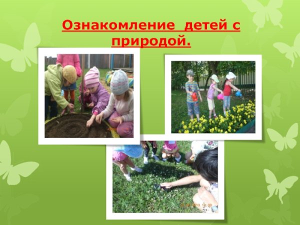 Ознакомление дошкольников с природой