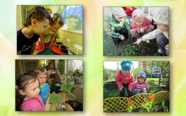 Наблюдение в ДОУ