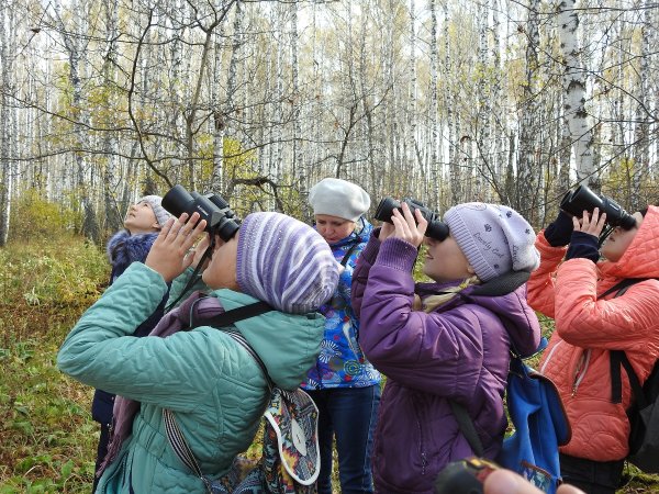 Наблюдение за птицами