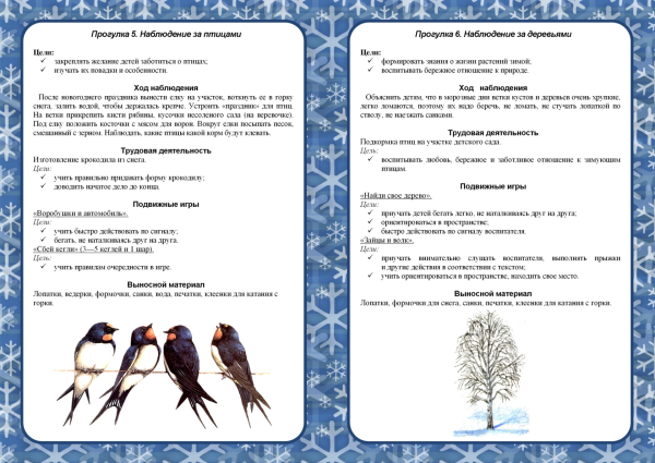 Прогулка январь подготовительная группа