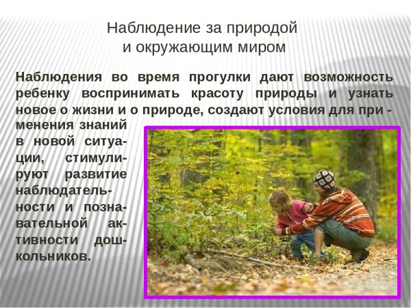 Рассказ наблюдение за природой