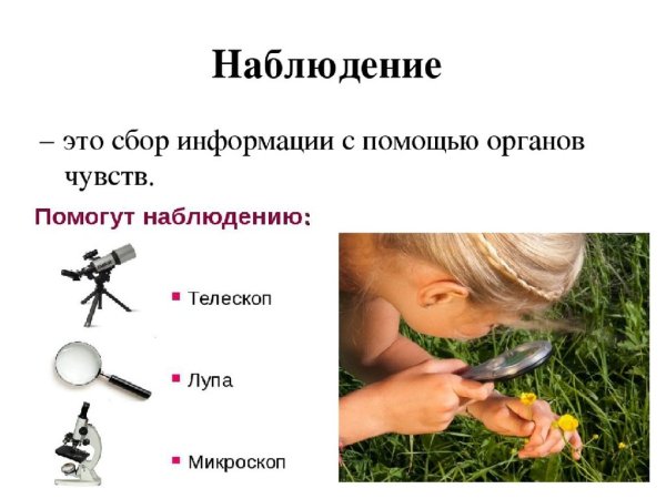 Наблюдение и наблюдательность