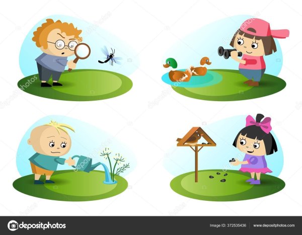 Наблюдение за природой рисунок