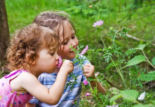 Дети и природа