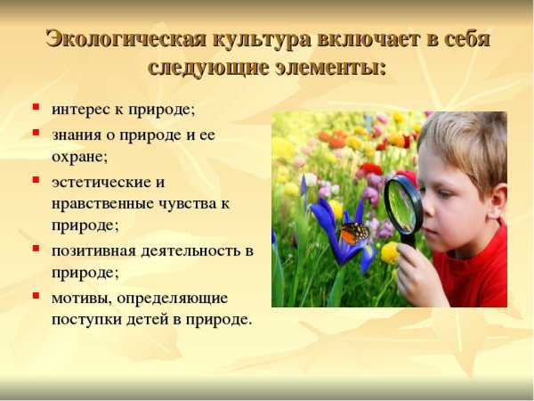 Экологическая культура