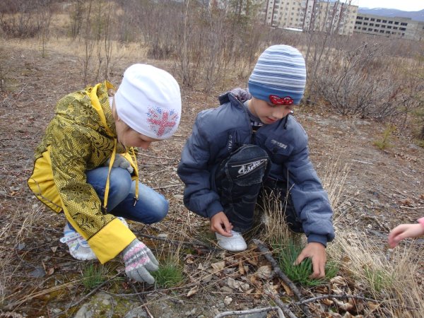 Наблюдение детей за природой