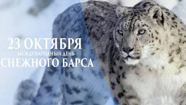 День снежного Барса