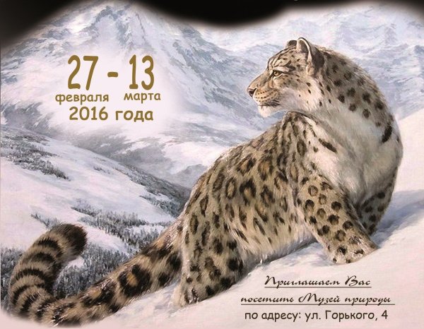 Снежный Барс книги для детей