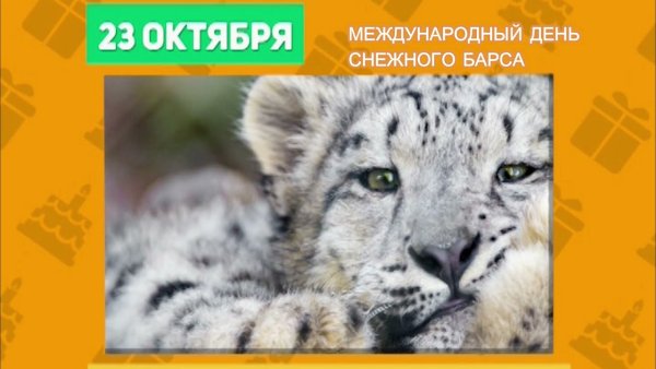 День снежного Барса 23 октября