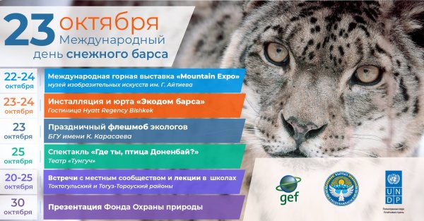 Снежный Барс 23 октября