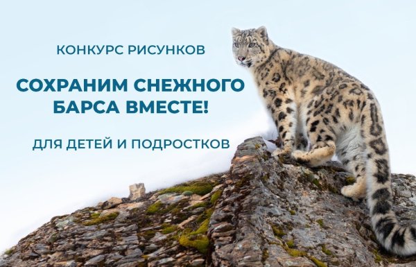 23 Октября Всемирный день снежного Барса