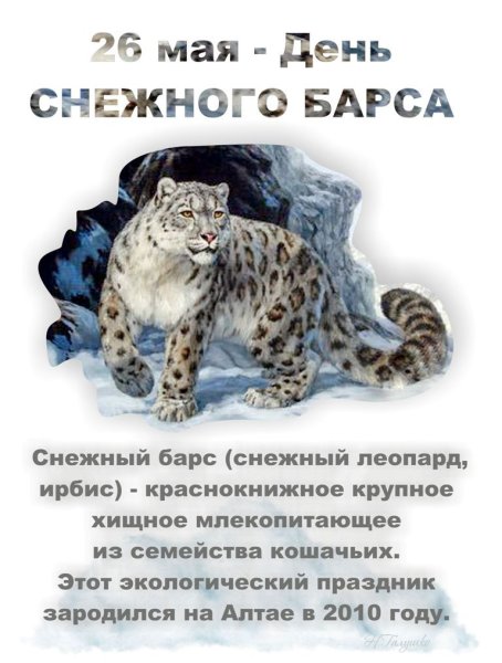 День снежного Барса 26 мая