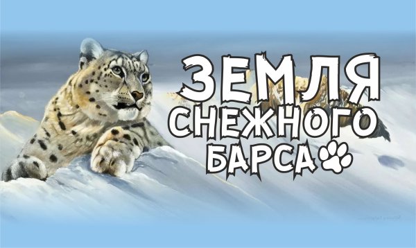 Фестиваль снежного Барса