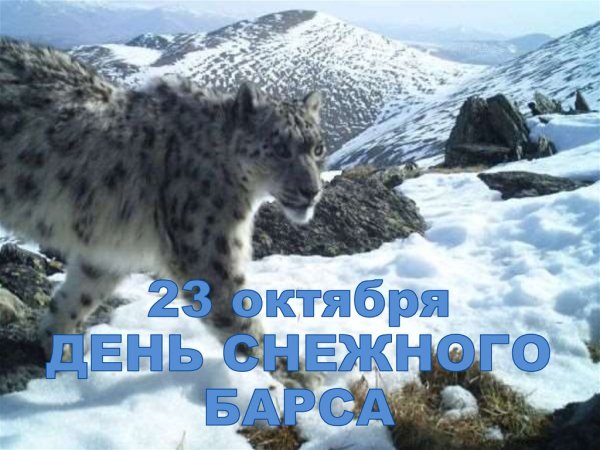 День снежного Барса 23 октября