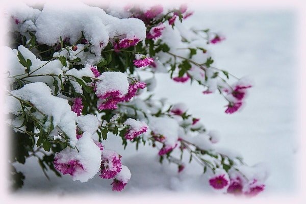 Падает пушистый снег