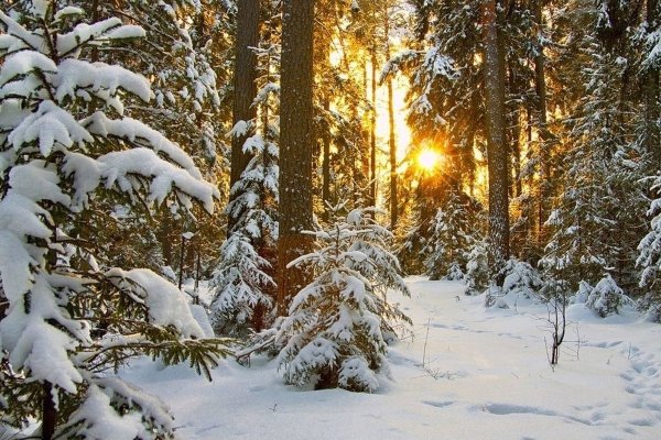 Природа зима