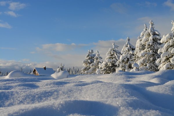 Зима снег сугробы