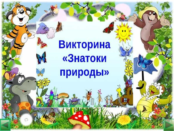 Экологическая викторина знатоки природы