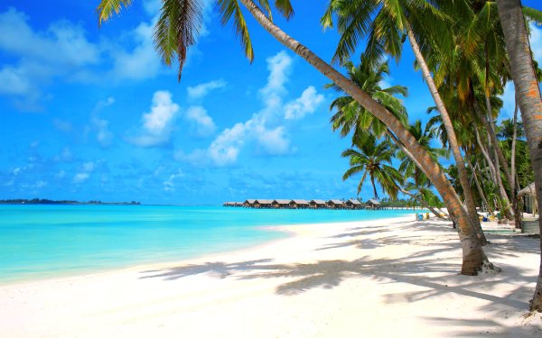 Остров Саона