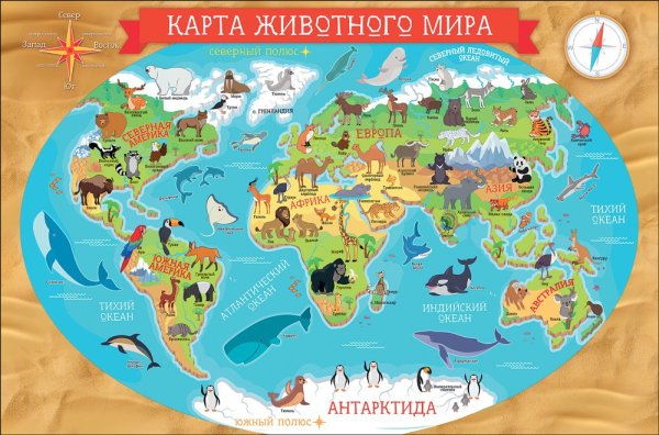 Карта животных мира
