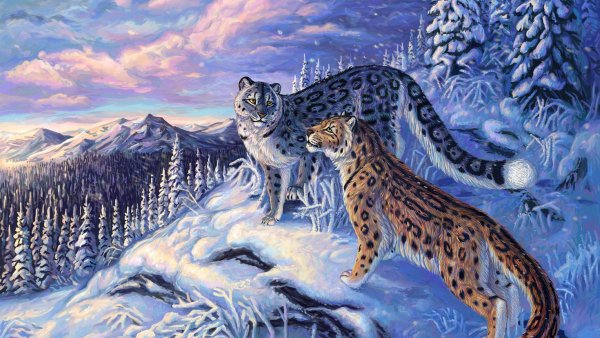 Снежный Барс и леопард