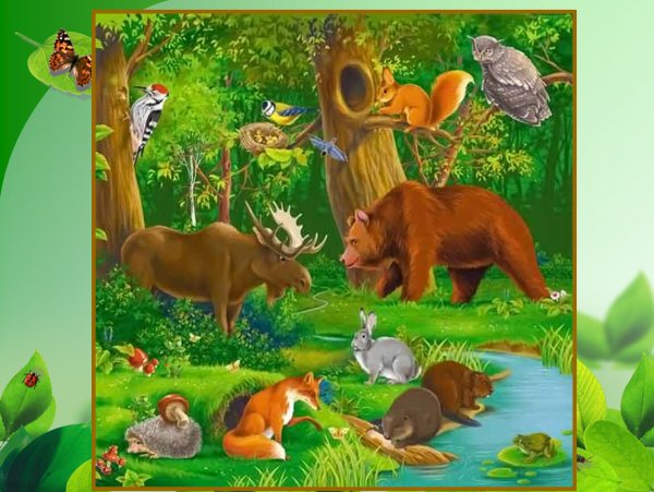 Сказочные жители леса