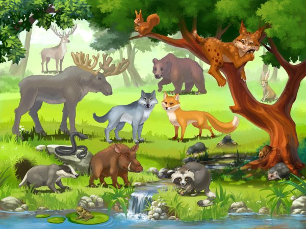 Животные Красноярского края