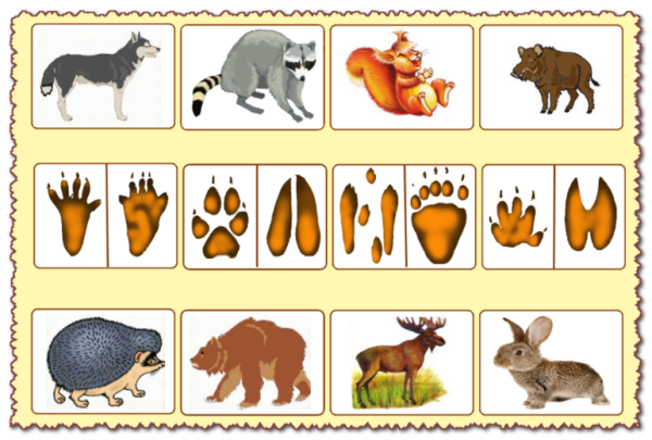 Дикие животные для дошкольников