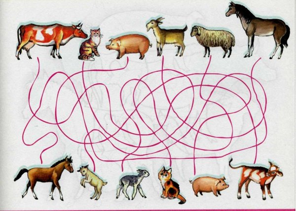 Дикие и домашние животные задания