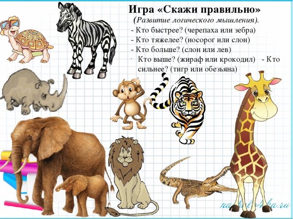 Задания про животных