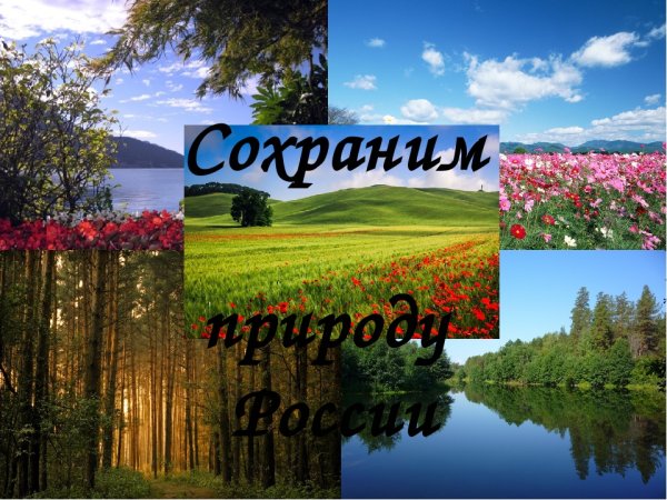 Доклад на тему природа России