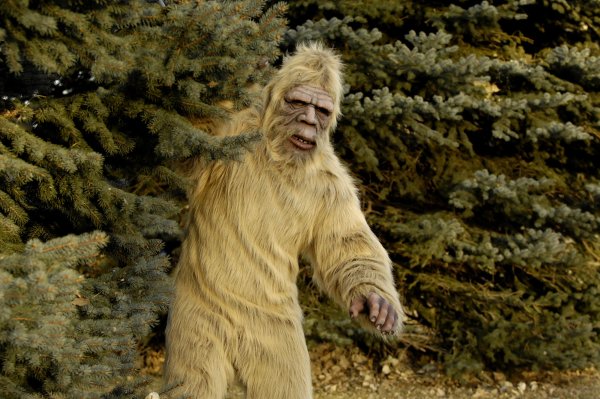 Bigfoot снежный человек