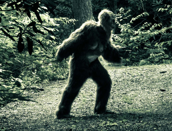 Етти снежный человек реальные