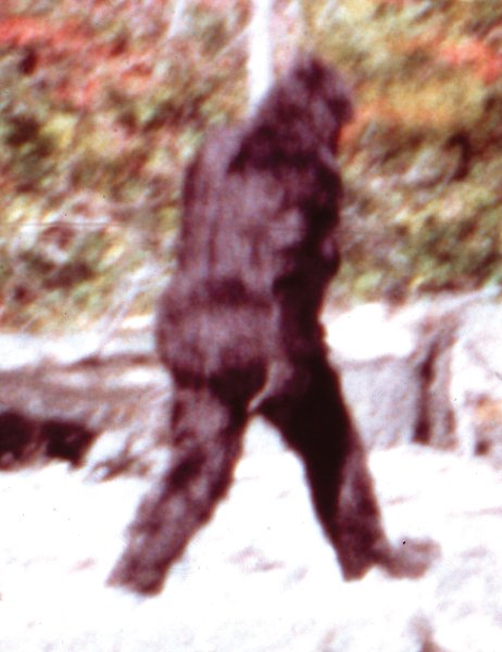 Йети настоящий бигфут