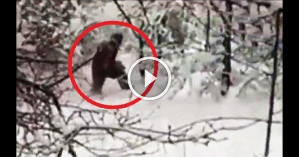 Существует ли етти снежный человек