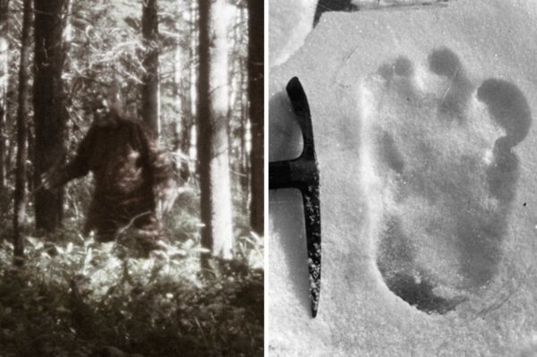 Снежный человек реальные