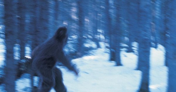 Йети. В поисках снежного человека"!