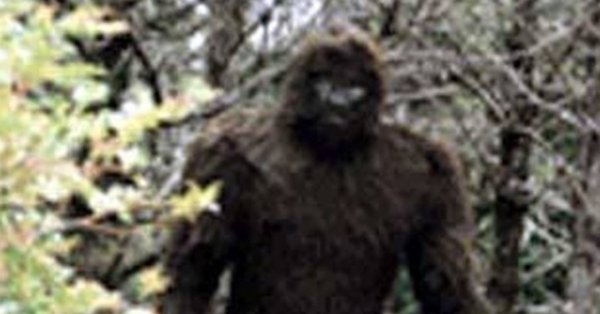 Сергей Йети рост